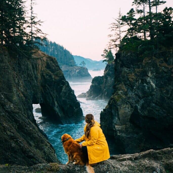 woman in yellow jacket sitting on rock beside brown dog